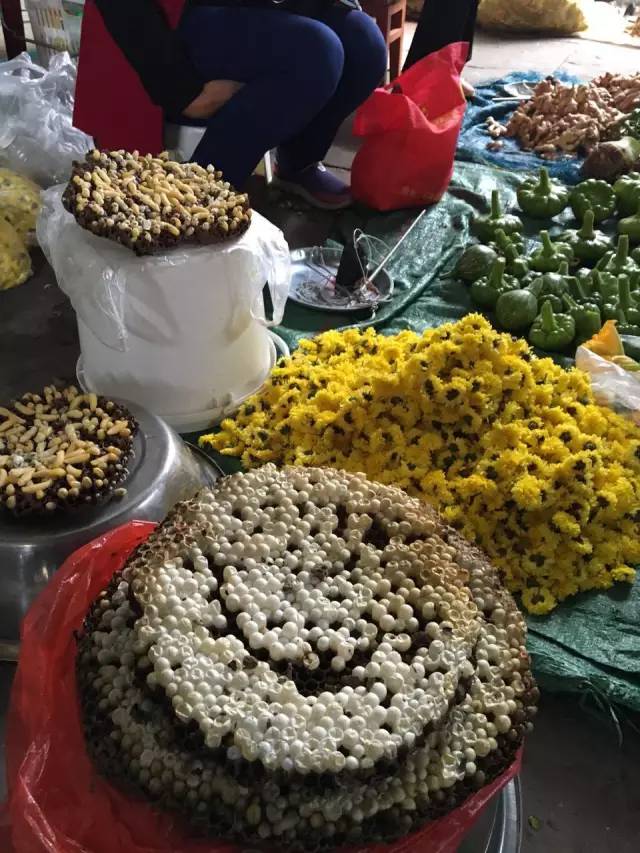 OH!MG。。這個(gè)季節(jié)“蜂”狂的鎮(zhèn)沅！...
