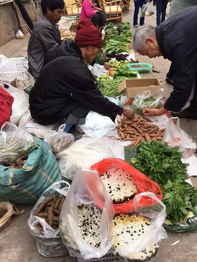 OH!MG。。這個(gè)季節(jié)“蜂”狂的鎮(zhèn)沅！...