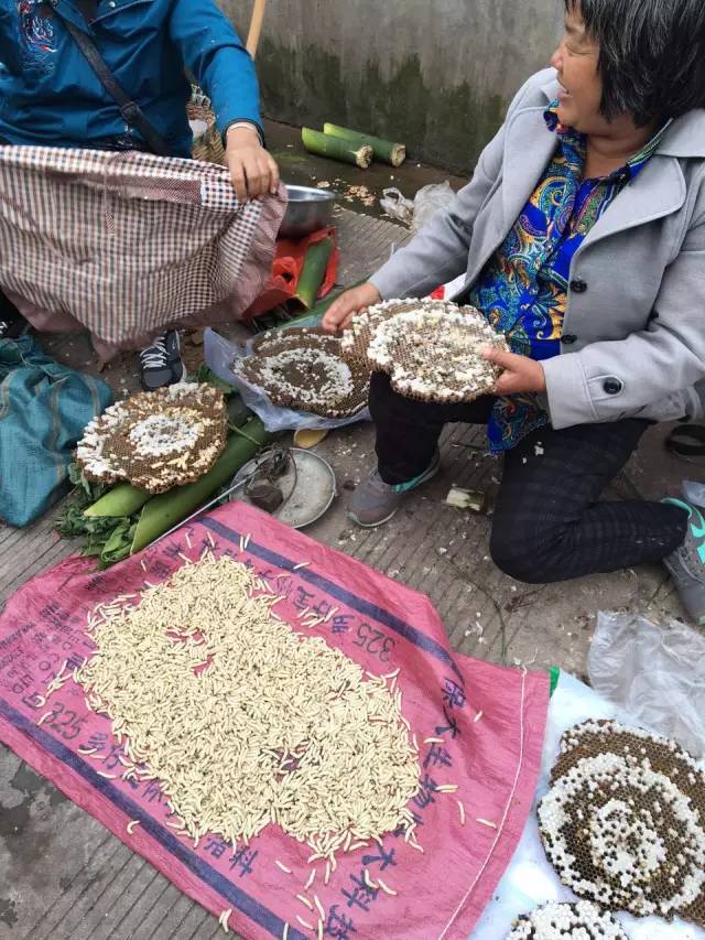 OH!MG。。這個(gè)季節(jié)“蜂”狂的鎮(zhèn)沅！...